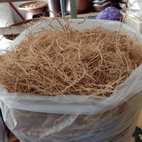 Gambar 250 GRAM AKAR WANGI KERING / NARAWASTU / VETIVER / Serai Wangi SIMPLISIA KERING dari TOKO JAMU SUKSES Kota Yogyakarta 3 Tokopedia