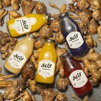 Gambar Temulawak Rempah - Suwe Ora Jamu (280 ml) dari Suwe Ora Jamu Kota Administrasi Jakarta Selatan 3 Tokopedia