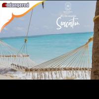 Gambar Paket Wisata Tour Batu Merah Kabin Pulau Payung Kepulauan Seribu - Hanya Kabin, Sea View dari Endangered Store Kota Administrasi Jakarta Utara 1 Tokopedia