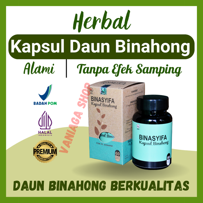 Gambar Kapsul Daun Binahong Asli Herbal Ekstrak Dari Daun Berkualitas Terbaik dari Vaniaga Shop Kota Tangerang Selatan Tokopedia