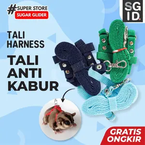 Harness H tali penuntun hewan Sugar Glider Landak Mini kelinci cincila