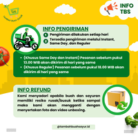 Gambar PISANG TANDUK SUPER (KHUSUS SAMEDAY DAN INSTAN) dari Tambah Buah Sayur Kota Administrasi Jakarta Timur 4 Tokopedia