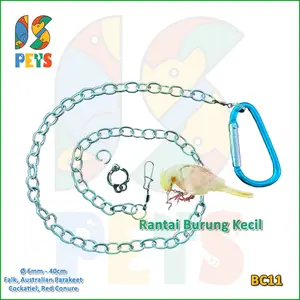 Rantai Burung Australian Parakeet Falk 6mm Ikat Kaki Ring Besi BC11