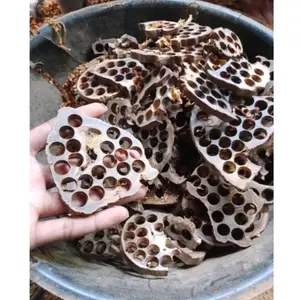 Limbah kayu gaharu 1kg kayu gaharu asli Kalimantan 500gram