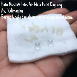 Batu Mustika Tetes Air Mata Duyung Asli Kalimantan Sepasang