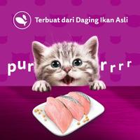 Gambar Whiskas Makanan Kucing Basah Pouch Junior 80gr - Isi 14 - Tuna dari Whiskas Indonesia Kota Tangerang 3 Tokopedia
