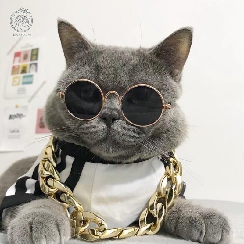 Kacamata Kucing Peliharaan 6577 Kaca Mata Lucu Anjing Anabul 3