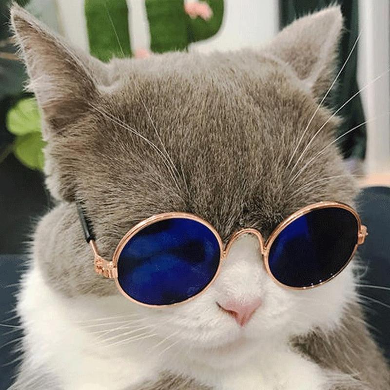 Kacamata Kucing Peliharaan 6577 Kaca Mata Lucu Anjing Anabul 2