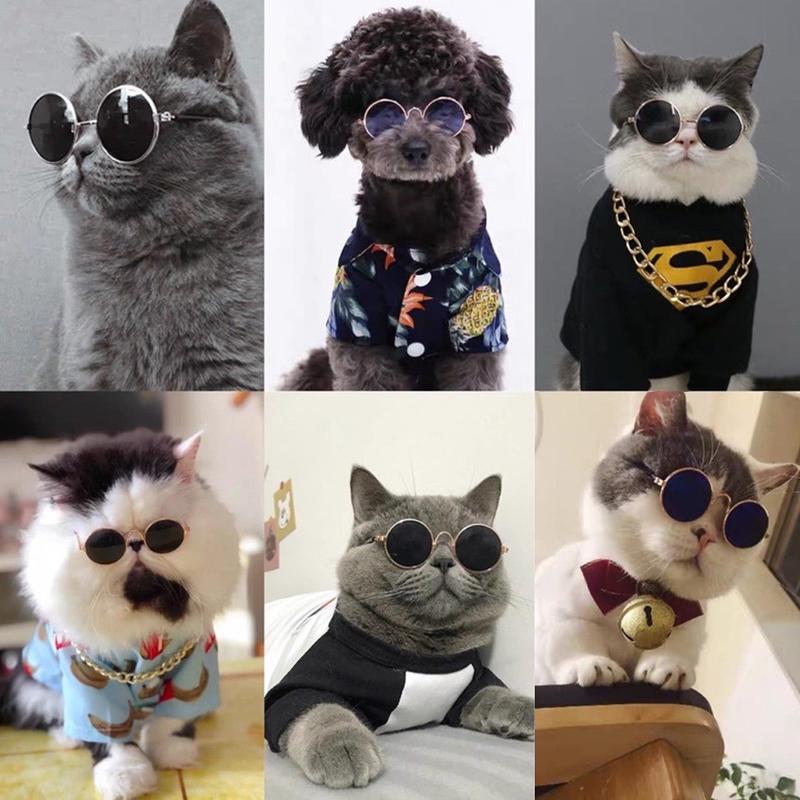 Kacamata Kucing Peliharaan 6577 Kaca Mata Lucu Anjing Anabul 0