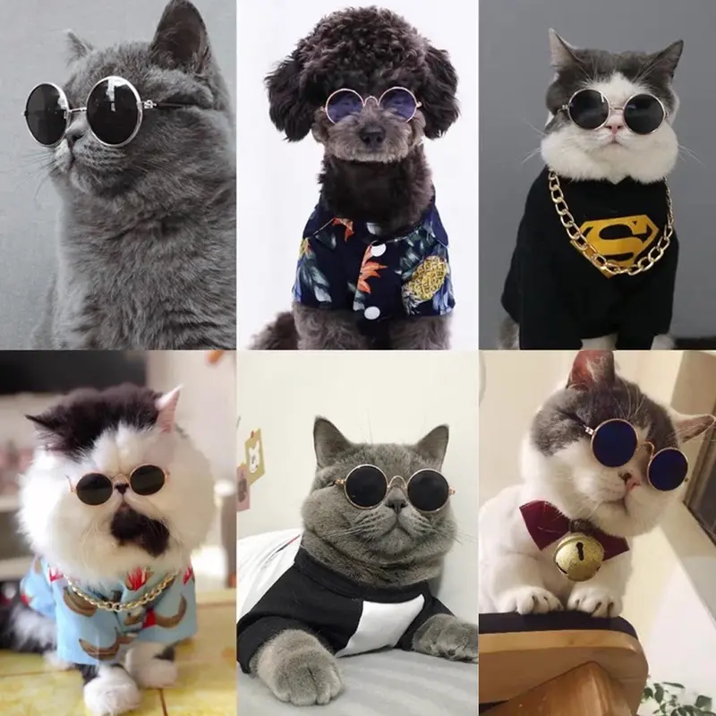 Kacamata Kucing Peliharaan 6577 Kaca Mata Lucu Anjing Anabul 0