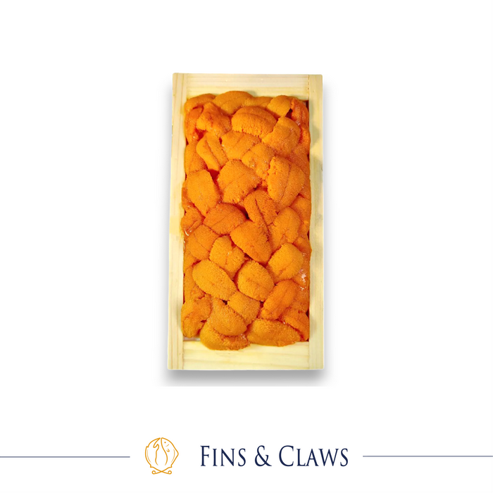 Gambar Fresh Chilled Sea Urchin Roe - Bafun Uni Halfbox dari Fins & Claws Kota Administrasi Jakarta Barat Tokopedia