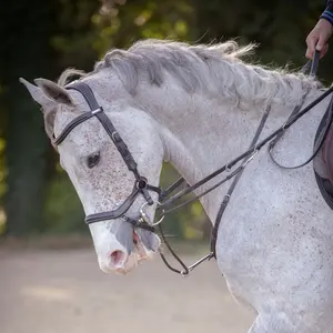JUMP’IN New York Bridle with anatomical headpiece.