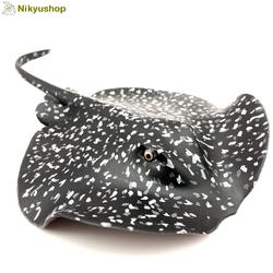 Marmora raja, Marble Ray - Montesori pasaule