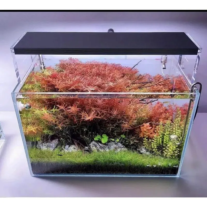 paket dutch style aquascape 2