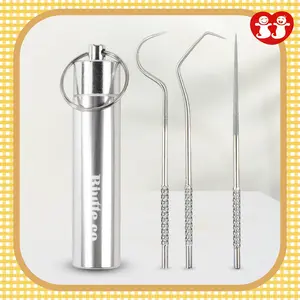 Tusuk Gigi Stainless Steel 3pcs / Toothpick Set Tools