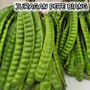 PETE SEGAR 1KG ISI 11-15 PAPAN / PETE TUA SUPER BERKUALITAS /   Kecombrang