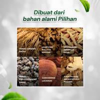 Gambar Obat Miom Herbal | Ling Shen Yao | Kanker Kista Miom | Serbuk dari Ling Shen Yao ID_NEW Kota Bandung 2 Tokopedia