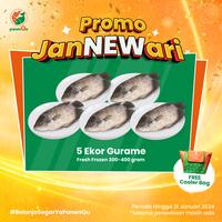 Gambar PanenQu Paket JaNEWari dari PanenQu Jakarta Official Store Jakarta Selatan 1 Tokopedia