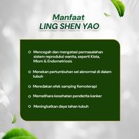 Gambar Obat Miom Herbal | Ling Shen Yao | Kanker Kista Miom | Serbuk dari Ling Shen Yao ID_NEW Kota Bandung 3 Tokopedia