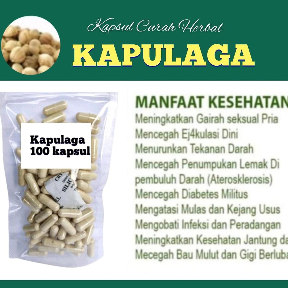 KAPULAGA 100 kapsul Curah Herbal  libido selera makan Bronkitis kejang