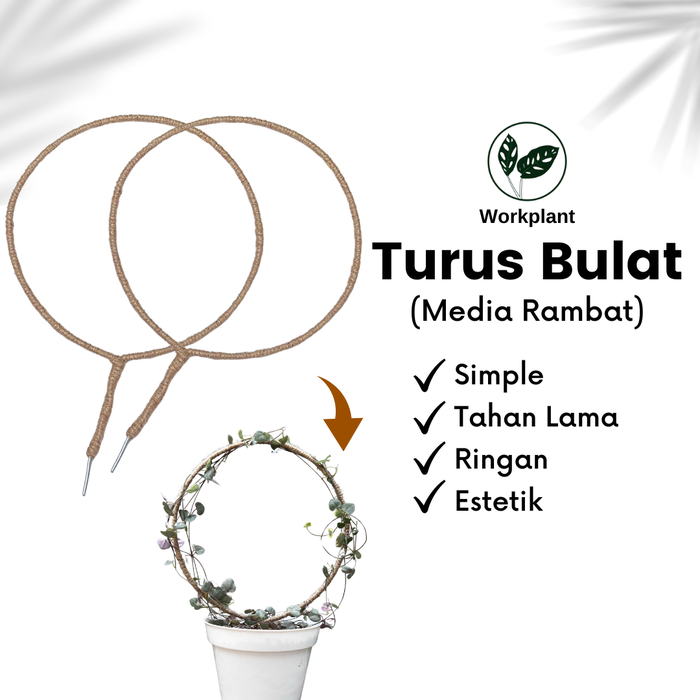 Gambar Turus Bulat - Penyangga Rambatan Tanaman Hias Tali Rami Melingkar dari workplant official Kota Surabaya Tokopedia
