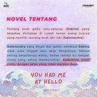 Gambar Buku Novel You Had Me At Hello - Ailee - Coconut Books - Bumi Fiksi dari bumifiksijakarta Jakarta Selatan 2 Tokopedia