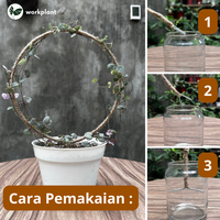 Gambar Turus Bulat - Penyangga Rambatan Tanaman Hias Tali Rami Melingkar dari workplant official Kota Surabaya 4 Tokopedia
