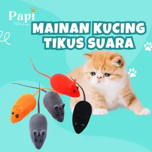 Mainan Kucing Anak Kucing Tikus Cit Gigit Interaktif Cat Toys