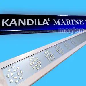 Lampu Aquarium / Lampu Kandila Marine View