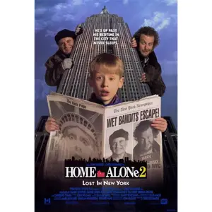 DVD HOME ALONE 2