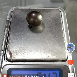 Butiran mutiara laut jumbo big size warna hitam asli lombok grade B