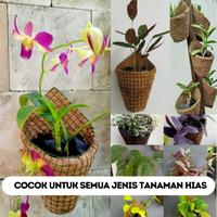 Gambar Pot Dinding Kerucut - Pot Serabut Kelapa Tempel Tanaman Anggrek Dll dari workplant official Kota Surabaya 5 Tokopedia