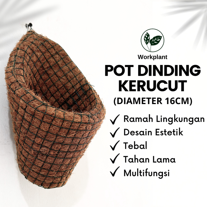 Gambar Pot Dinding Kerucut - Pot Serabut Kelapa Tempel Tanaman Anggrek Dll dari workplant official Kota Surabaya Tokopedia