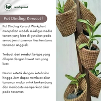 Gambar Pot Dinding Kerucut - Pot Serabut Kelapa Tempel Tanaman Anggrek Dll dari workplant official Kota Surabaya 2 Tokopedia