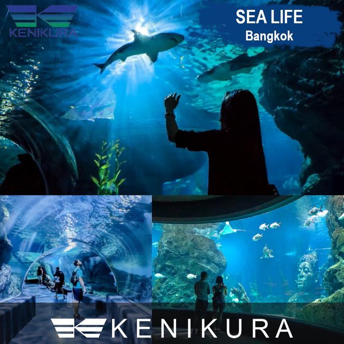 Gambar Sea life Bangkok ocean World aquarium tiket Anak Child Thailand ticket dari Kenikura Tour Kota Tangerang Selatan Tokopedia