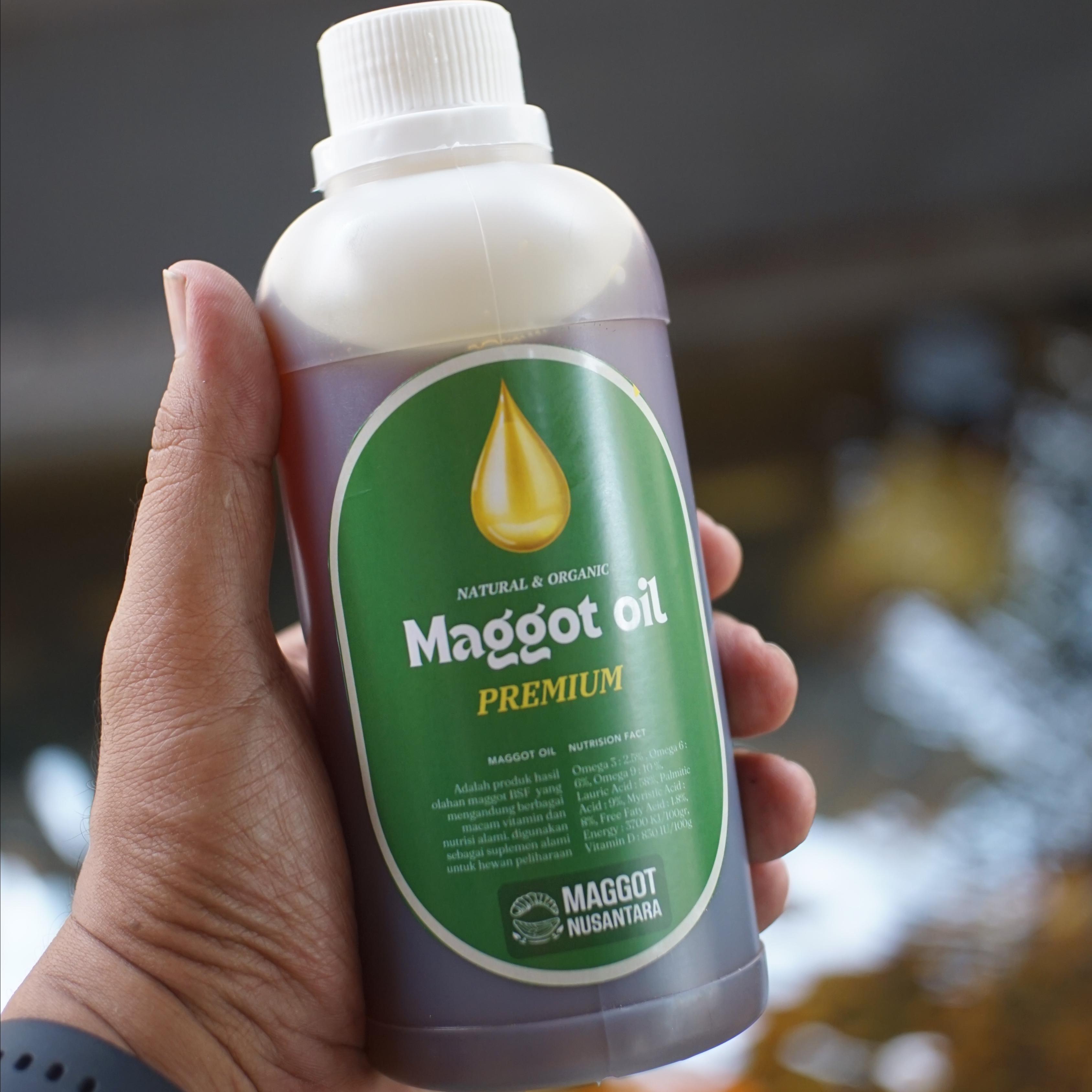 Maggot BSF Oil 250ml - Minyak Maggot - Maggot Nusantara - 250 ml