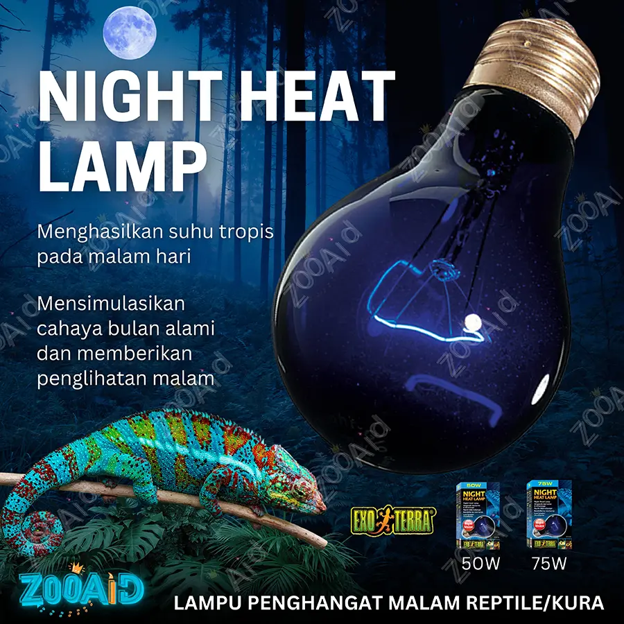Lampu Penghangat Malam Reptile Exoterra Night Heat Lamp Torto Bearded Dragon