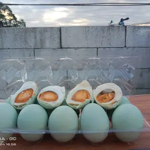 Telur asin masir ISTIMEWA