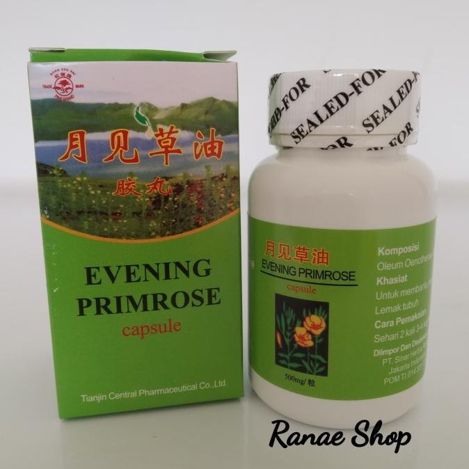 "Best Seller" Pt Herba Radix Evening Primrose Capsule - Obat Kolesterol Ready