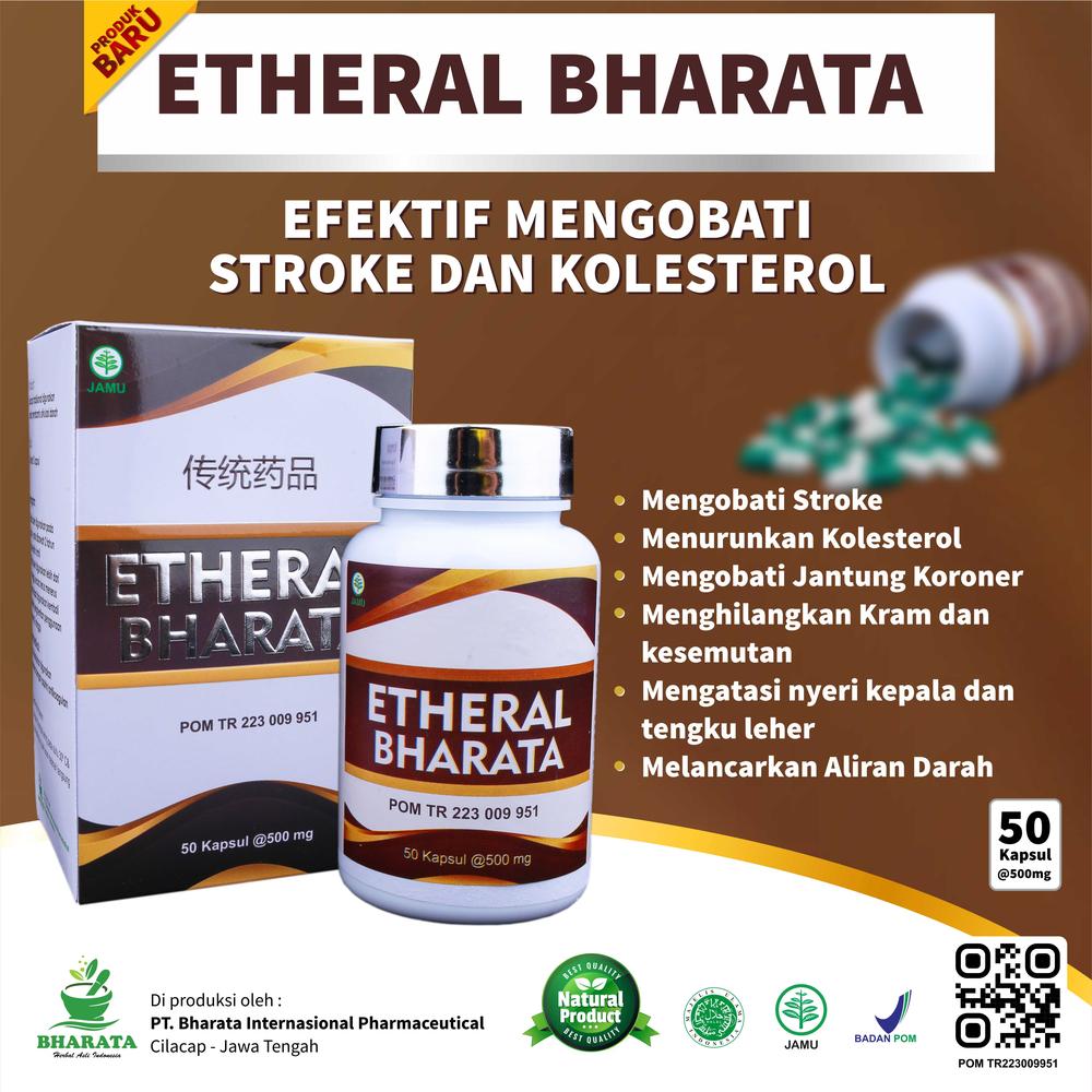 Etheral Bharata Obat Stroke Ampuh Ringan Dan Menahun