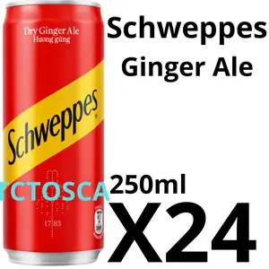 Schweppes Ginger Ale 250ml 1 Karton isi 24 Pcs KEMANSAN BARU SEKARANG UKURAN 250ML SLIM Pengiriman Sameday & Instan