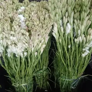 BUNGA SEDAP MALAM FRESH SETIAP HARI Kertas Pajangan Vas Bunga Standing Flower Bloom Box Graduation Birthday Buket Coklat Bride Bouquete Bunga Meja