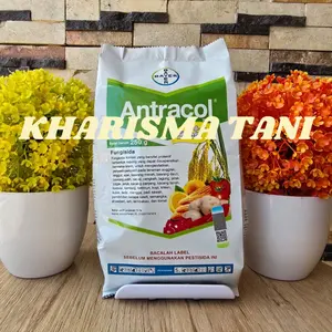 fungisida antracol 250 gram