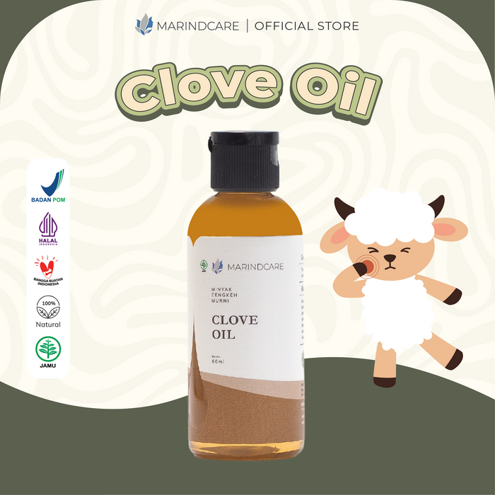 Gambar Minyak Cengkeh 60ml - MARINDCARE- ESSENTIAL OIL|MEREDAKAN SAKIT GIGI dari MarindcareOfficial Kota Surabaya Tokopedia