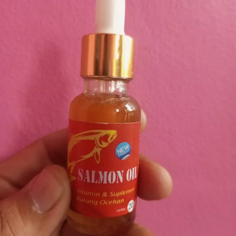 minyak ikan salmon vitamin burung murai dan lainnya 0