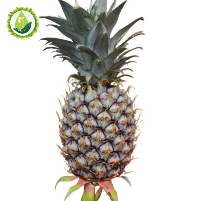 terlaris nanas muda/nanas mentah/buah nanas muda untuk pelancaran haid