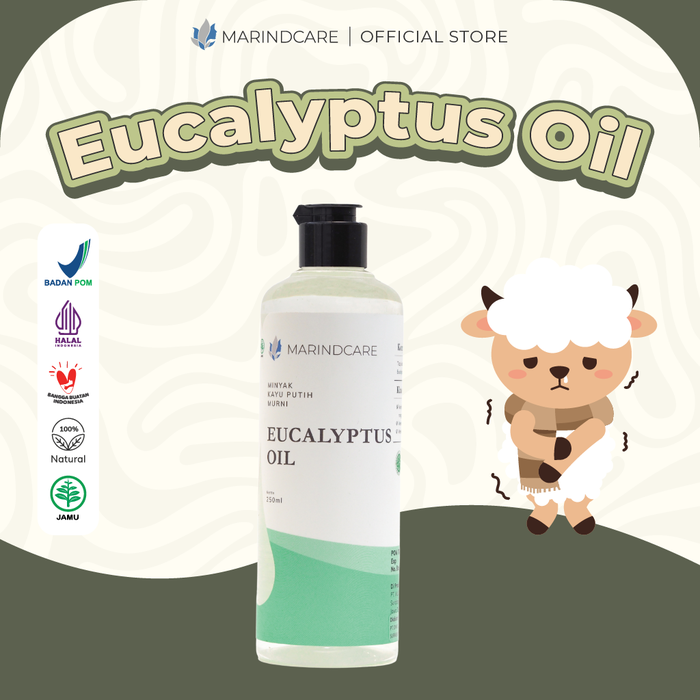 Gambar Eucalyptus oil 250ml - Marindcare - Pure essential oil | Flu batuk dari MarindcareOfficial Kota Surabaya Tokopedia