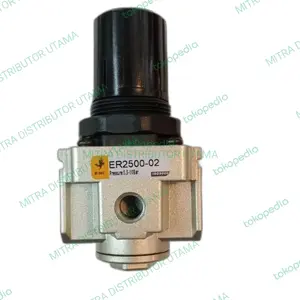 AIR REGULATOR EMC ER2500-02 PORT 1/4 INCH