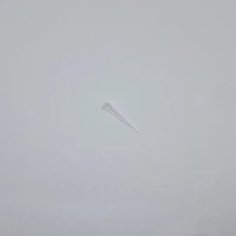 JOANLAB Ujung Pipet Tip Pipette Sparepart Cadangan 10/200/1000 microliter 5/10 mililiter 4
