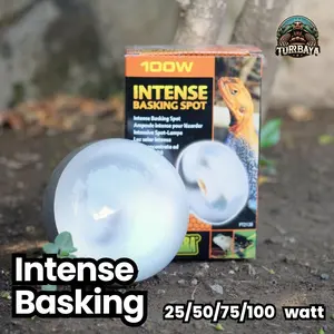 Lampu UVA Intense Basking Spot - All Varian